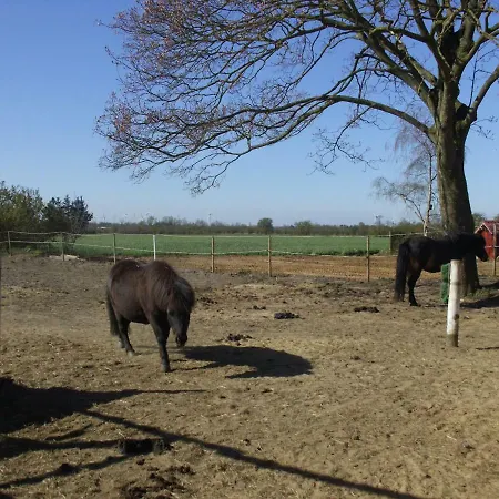 Tinas Reiterhof Apartamento Sonnebull